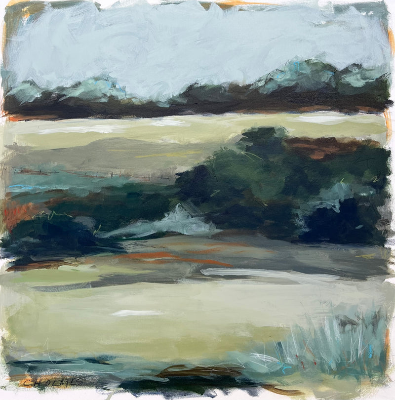 Landscapes